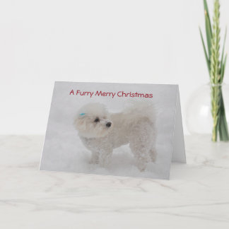 De Kaart van Bichon van "Bont Vrolijke Kerstmis"