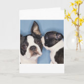De Kaart van Boston Terrier Vaderdag (Gele Bloem)