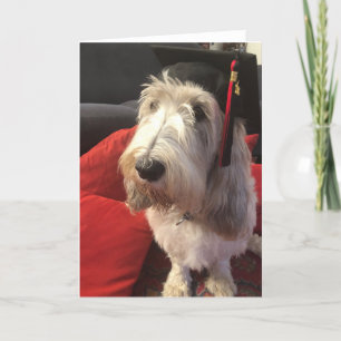 De Kaart van de Afstuderen van de hond