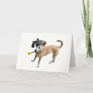 De Kaart van de Afstuderen van de hond