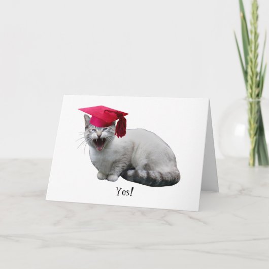 De Kaart van de Afstuderen van de kat (Voorkant)