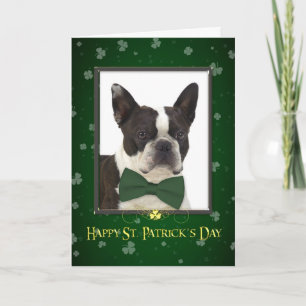 De Kaart van de Dag van Boston Terrier St. Patrick