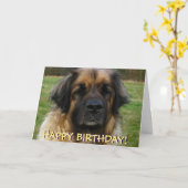 De kaart van de de hondverjaardag van Leonberger (Gele Bloem)