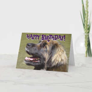 De kaart van de de hondverjaardag van Leonberger