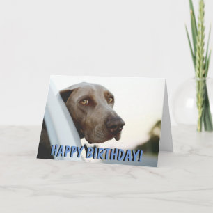 De kaart van de de hondverjaardag van Weimaraner