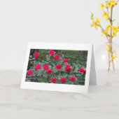 De kaart van de de rozenverjaardag van de zomer (Gele Bloem)