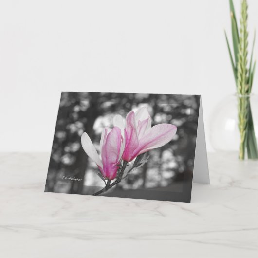 De kaart van de de tulpenmagnolia van Colorized (Voorkant)