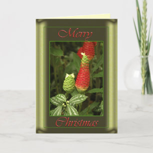 De Kaart van de Denneappel van Kerstmis
