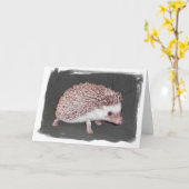De Kaart van de egel (Gele Bloem)