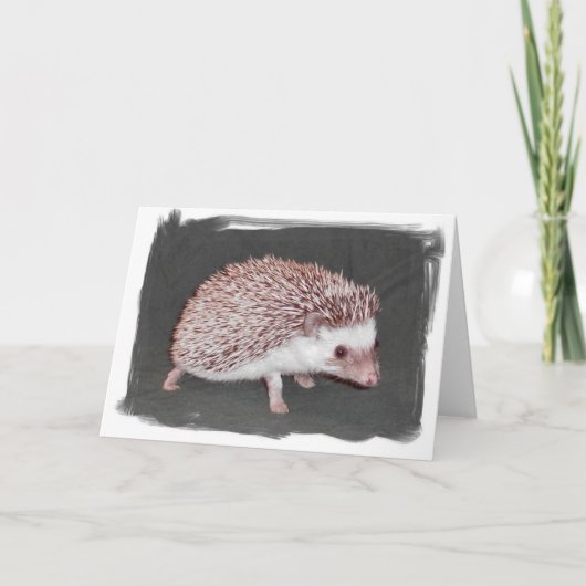 De Kaart van de egel (Voorkant)