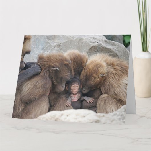 De kaart van de Familie van de Aap (Voorkant)