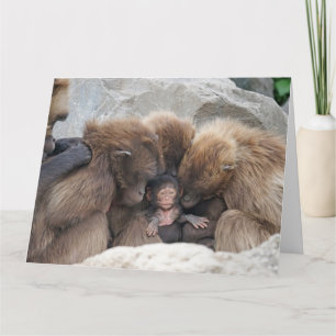 De kaart van de Familie van de Aap