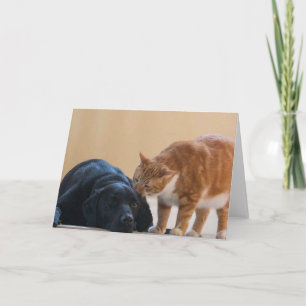 De Kaart van de Foto van de hond - Davy en Vriend