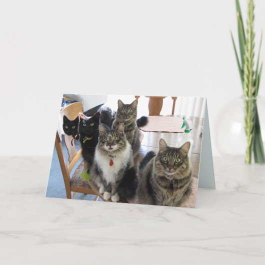 De Kaart van de gang wordt goed (Voorkant)