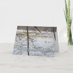 De Kaart van de Ganzen van Canada prettige