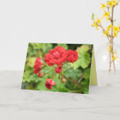 De Kaart van de geranium (Gele Bloem)