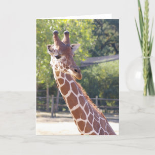 De Kaart van de Giraffe
