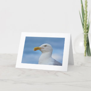 De Kaart van de Groeten van de zeemeeuw