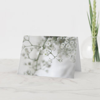 De Kaart van de Groeten van de zuiverheid