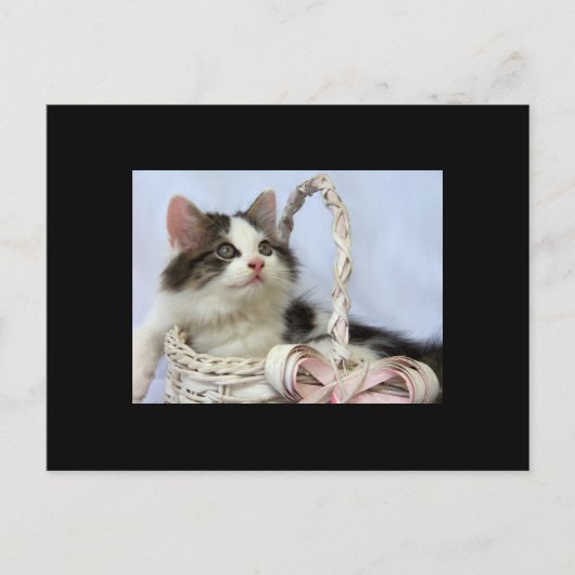 De Kaart van de Handel van de Kunst van het Katje (Voorkant)