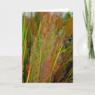 De kaart van de het collectienota van de herfst