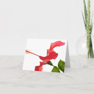 De Kaart van de hibiscus