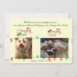 De Kaart van de Hond van Kerstmis van de douane