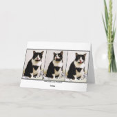 De Kaart van de Humor van de Verjaardag van de Kat (Achterkant)