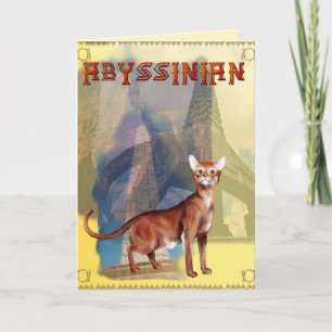 De Kaart van de Kat van Abyssinian