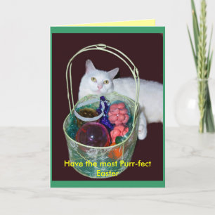 De Kaart van de Kat van Pasen