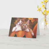 De Kaart van de Katten van Halloween (Gele Bloem)