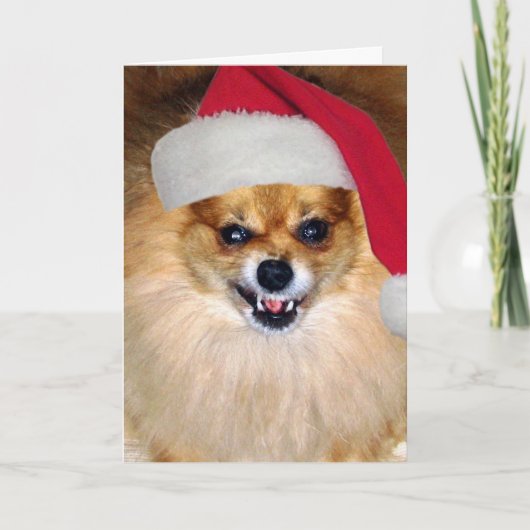 De Kaart van de Kerstman van Pomeranian van (Voorkant)