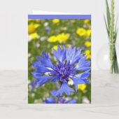 De kaart van de korenbloem (Achterkant)