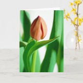 de Kaart van de lalaTulp (Gele Bloem)