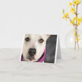 De Kaart van de lddr- Nota (Gele Bloem)