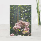 de kaart van de libelsympathie (Voorkant)