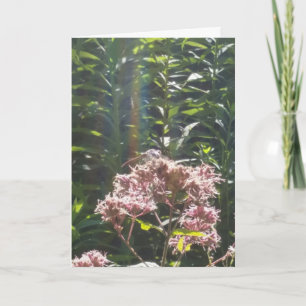 de kaart van de libelsympathie