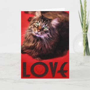 De Kaart van de LIEFDE