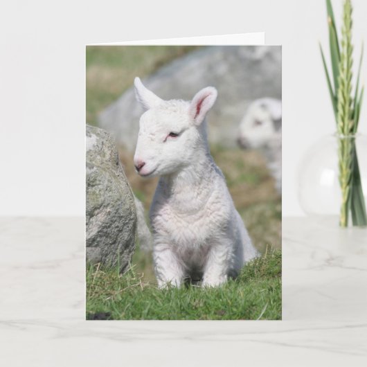 DE KAART VAN DE MOEDERDAG (Voorkant)