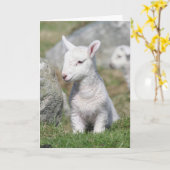 DE KAART VAN DE MOEDERDAG (Gele Bloem)