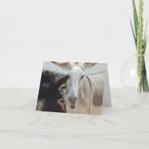 De Kaart van de nota