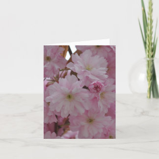 De Kaart van de nota: De Bloesems van de kers