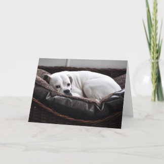 De Kaart van de nota: De hond van de bokser