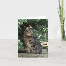 De Kaart van de nota: Minnie