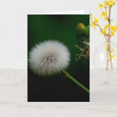 De Kaart van de nota - Paardebloem (Gele Bloem)