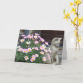 De Kaart van de nota: Roze Madeliefjes (Gele Bloem)