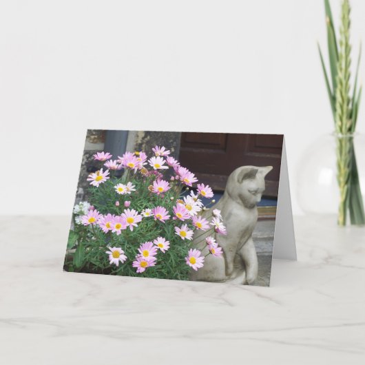 De Kaart van de nota: Roze Madeliefjes (Voorkant)