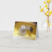 De Kaart van de Nota van Caterpillar van de (Gele Bloem)