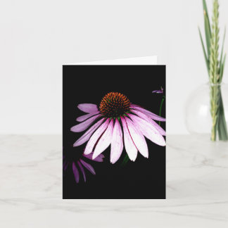 De Kaart van de Nota van Coneflower