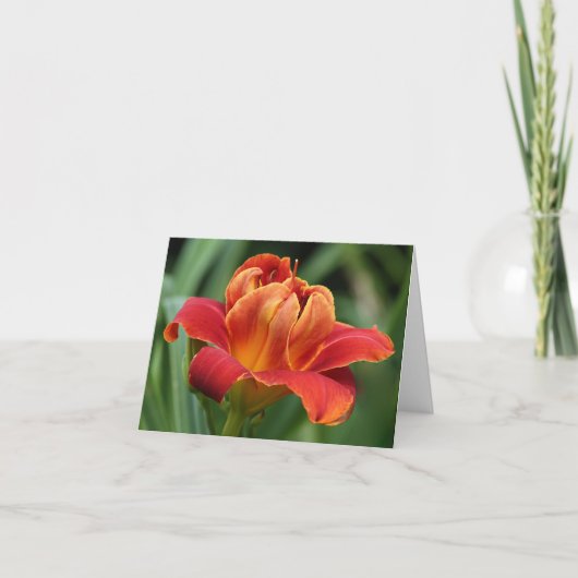 De Kaart van de Nota van Daylily (Voorkant)